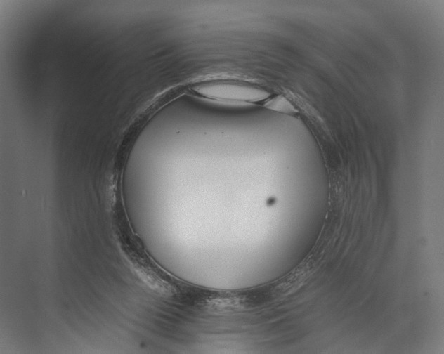 X0000071950160200608041602