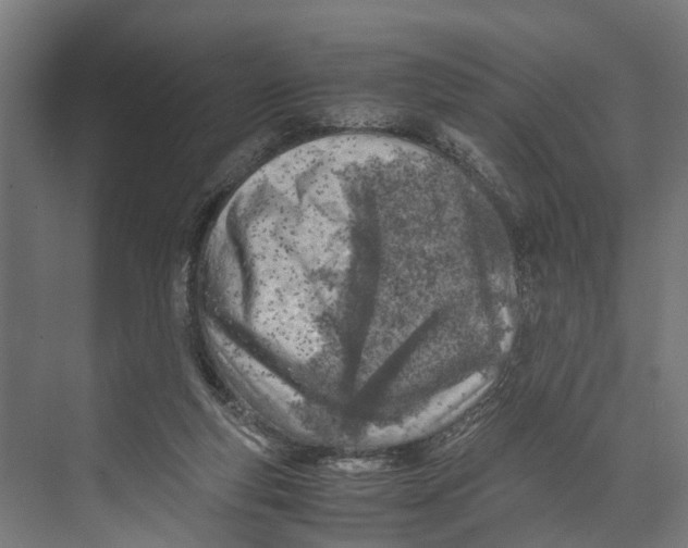 X0000071950163200608041602