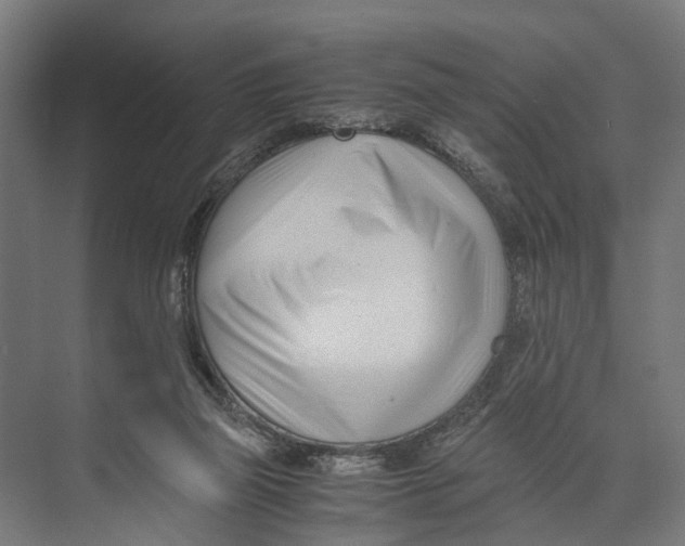 X0000071950165200608041602