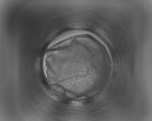 X0000071950167200608041602