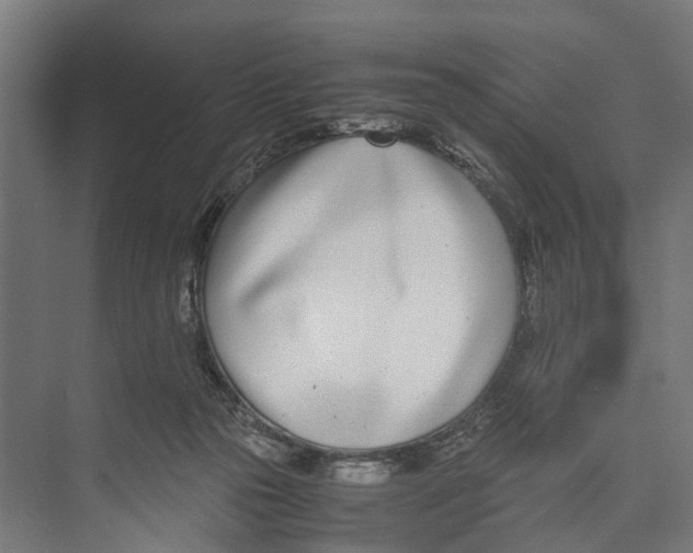 X0000071950169200608041602