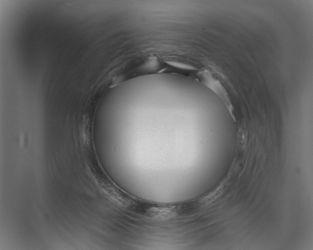 X0000071950170200608041602