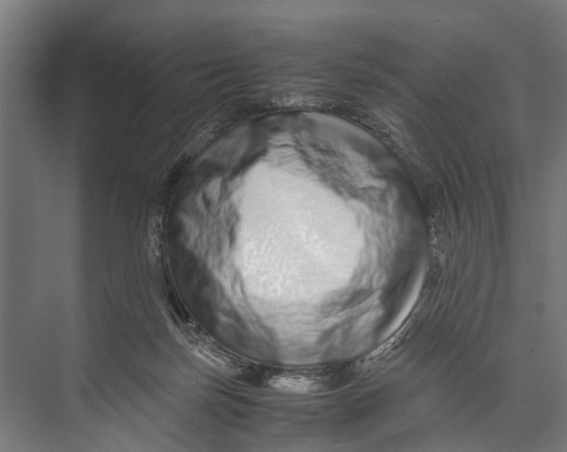 X0000071950171200608041602