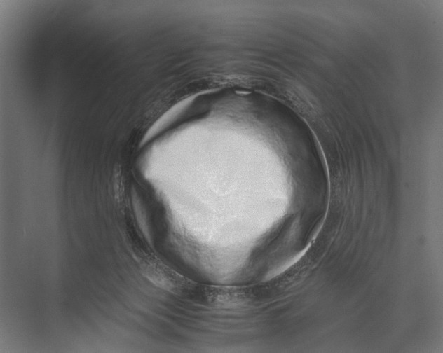 X0000071950173200608041602