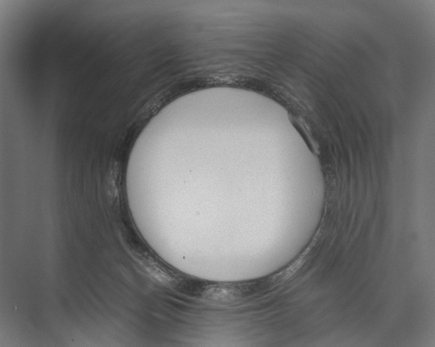 X0000071950174200608041602