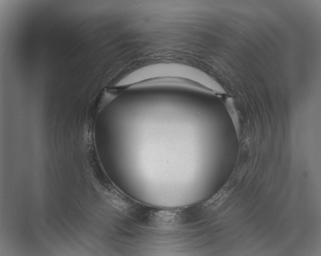 X0000071950176200608041602