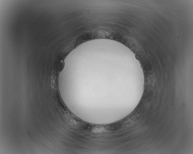 X0000071950177200608041602