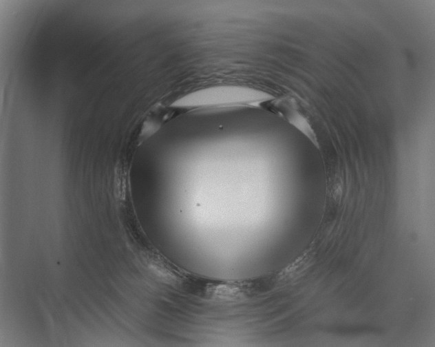 X0000071950180200608041603