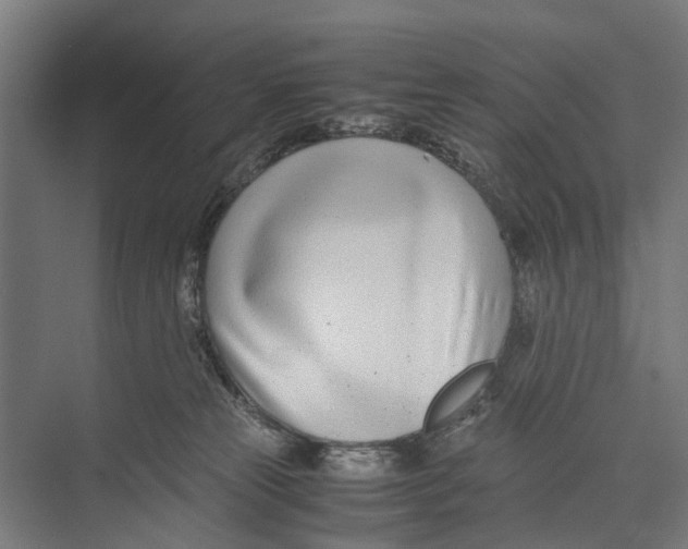 X0000071950181200608041603