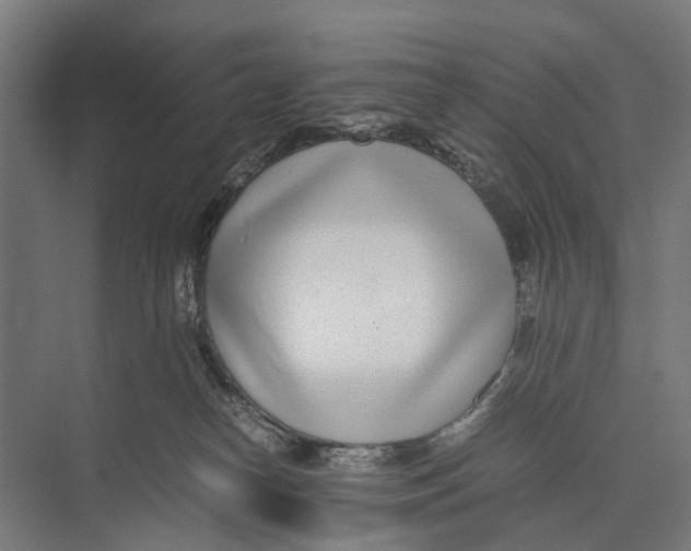 X0000071950182200608041603