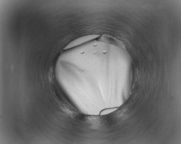 X0000071950189200608041603