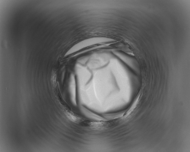 X0000071950192200608041603