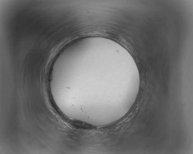 X0000071950193200608041602