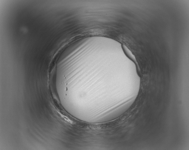 X0000071950194200608041602