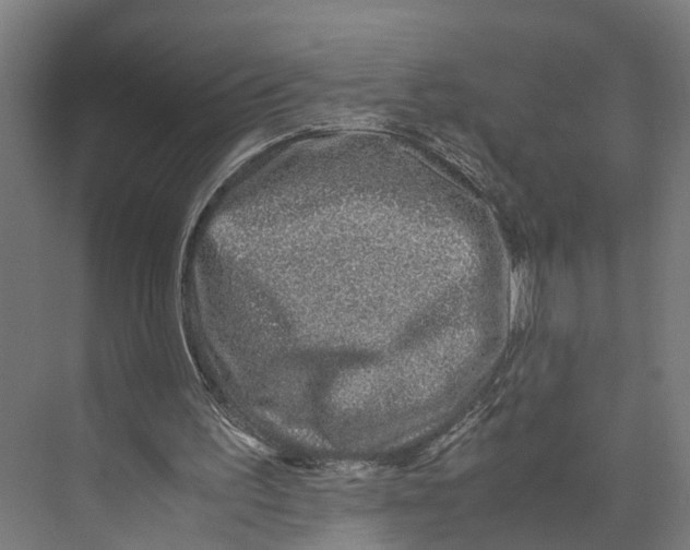 X0000071950195200608041602