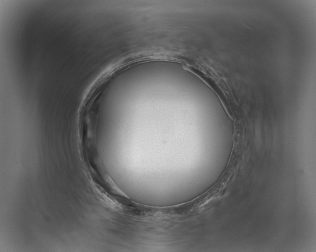 X0000071950197200608041602