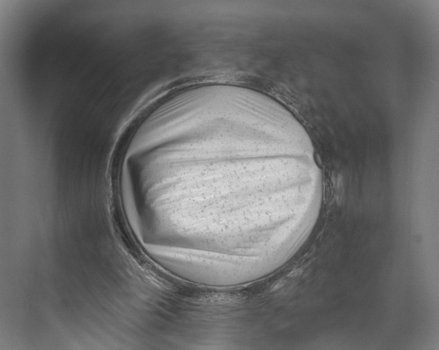 X0000071950198200608041602