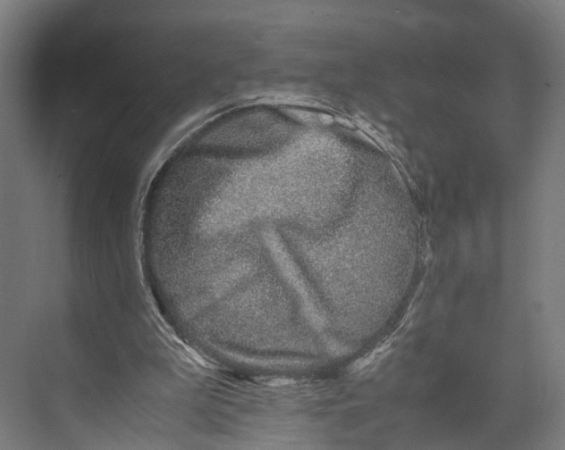 X0000071950199200608041602