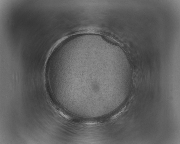 X0000071950200200608041602