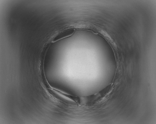 X0000071950201200608041602