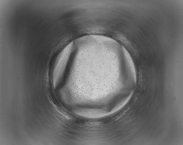 X0000071950202200608041602