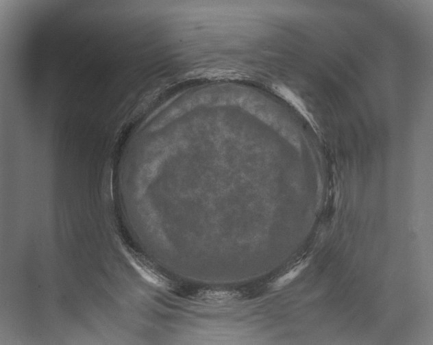 X0000071950205200608041602