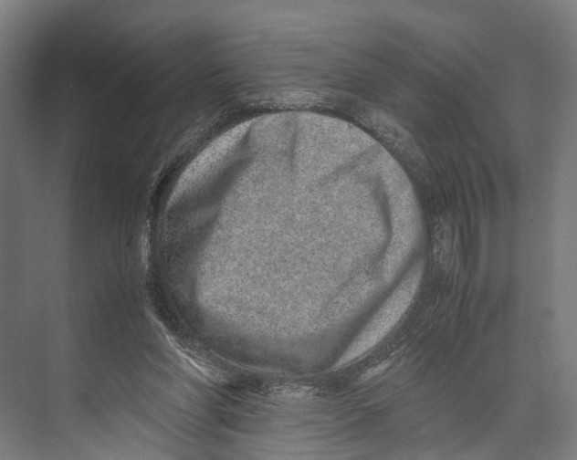 X0000071950206200608041602