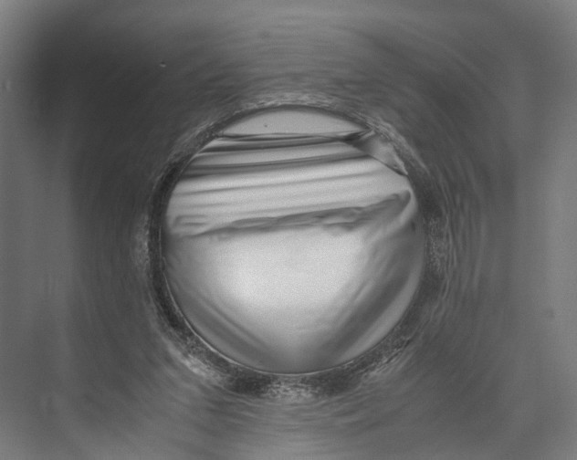 X0000071950207200608041602