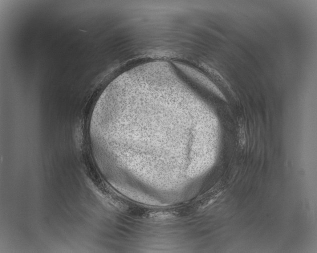 X0000071950208200608041602