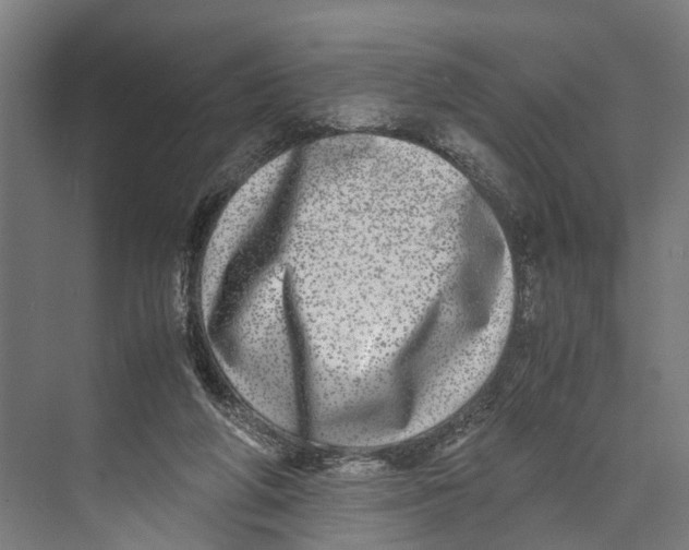 X0000071950210200608041602