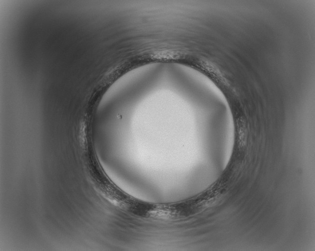 X0000071950211200608041602