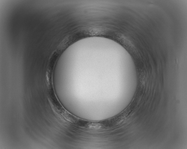 X0000071950214200608041602