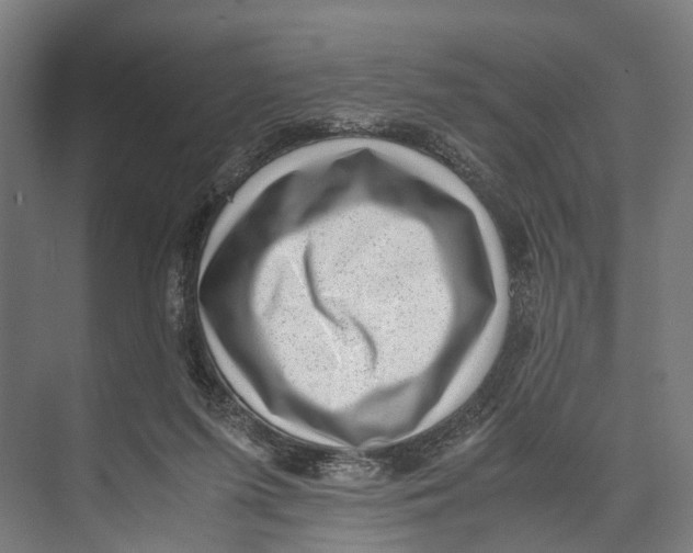 X0000071950215200608041602