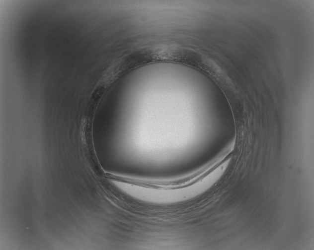 X0000071950217200608041601