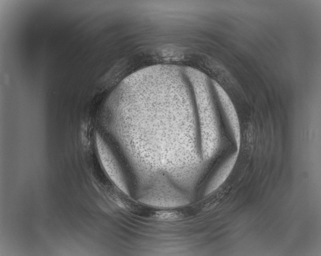 X0000071950218200608041601