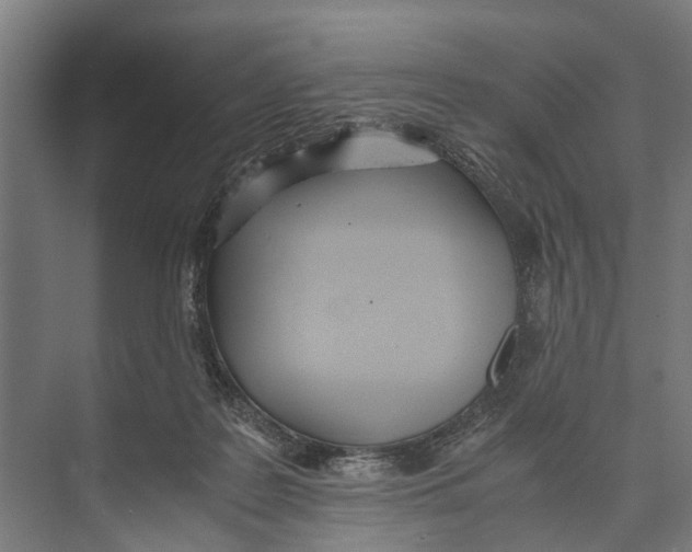 X0000071950219200608041601