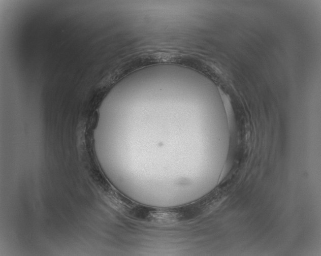 X0000071950221200608041601