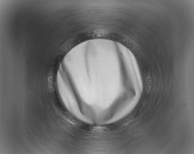 X0000071950222200608041601