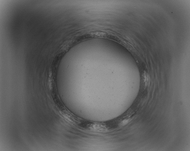 X0000071950223200608041601