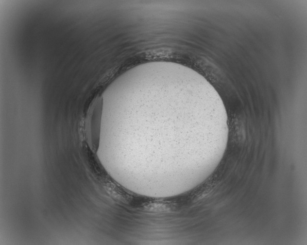 X0000071950224200608041601