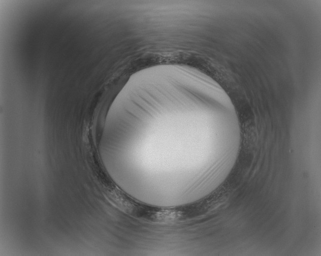 X0000071950225200608041601