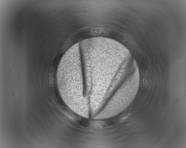 X0000071950226200608041601