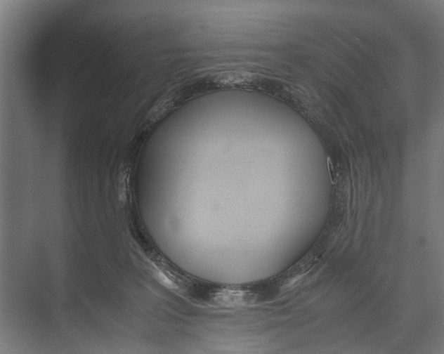 X0000071950227200608041601