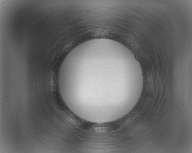 X0000071950228200608041601