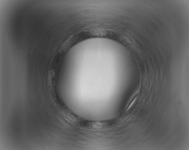 X0000071950229200608041601