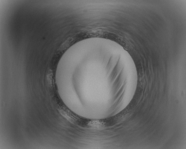 X0000071950231200608041601