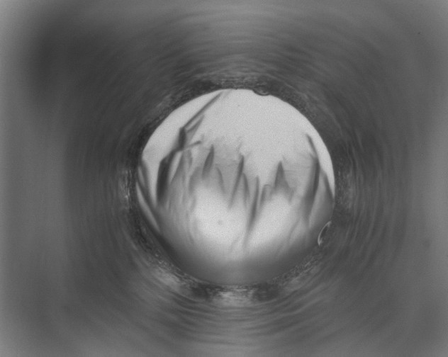 X0000071950232200608041601