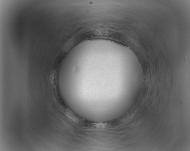 X0000071950233200608041601