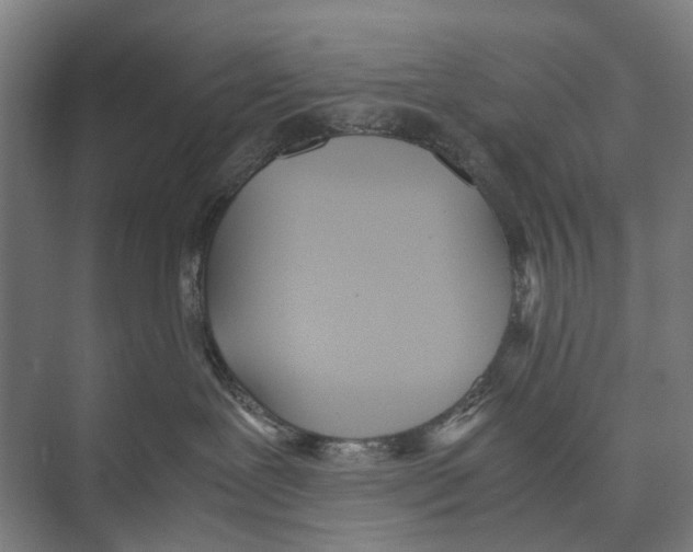 X0000071950239200608041601