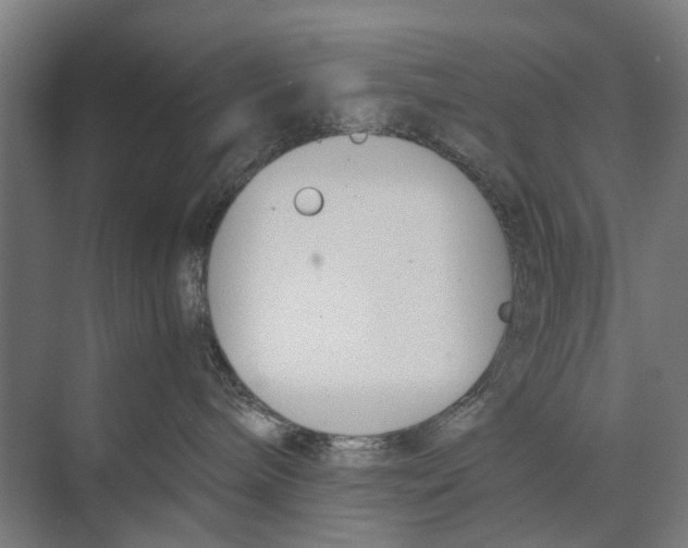 X0000071950240200608041601